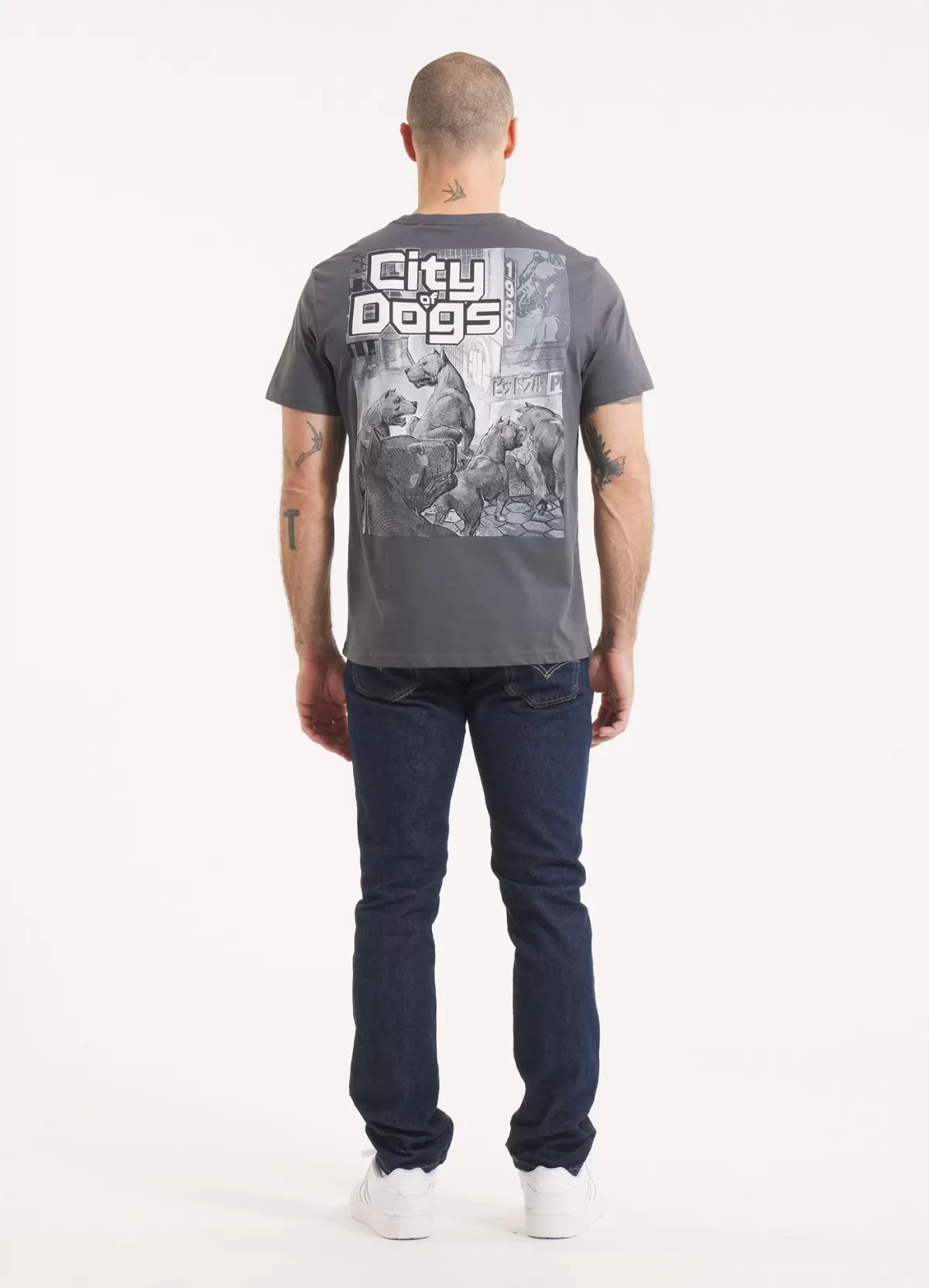 CITY OF DOGS - PITBULL - GRAY - 4