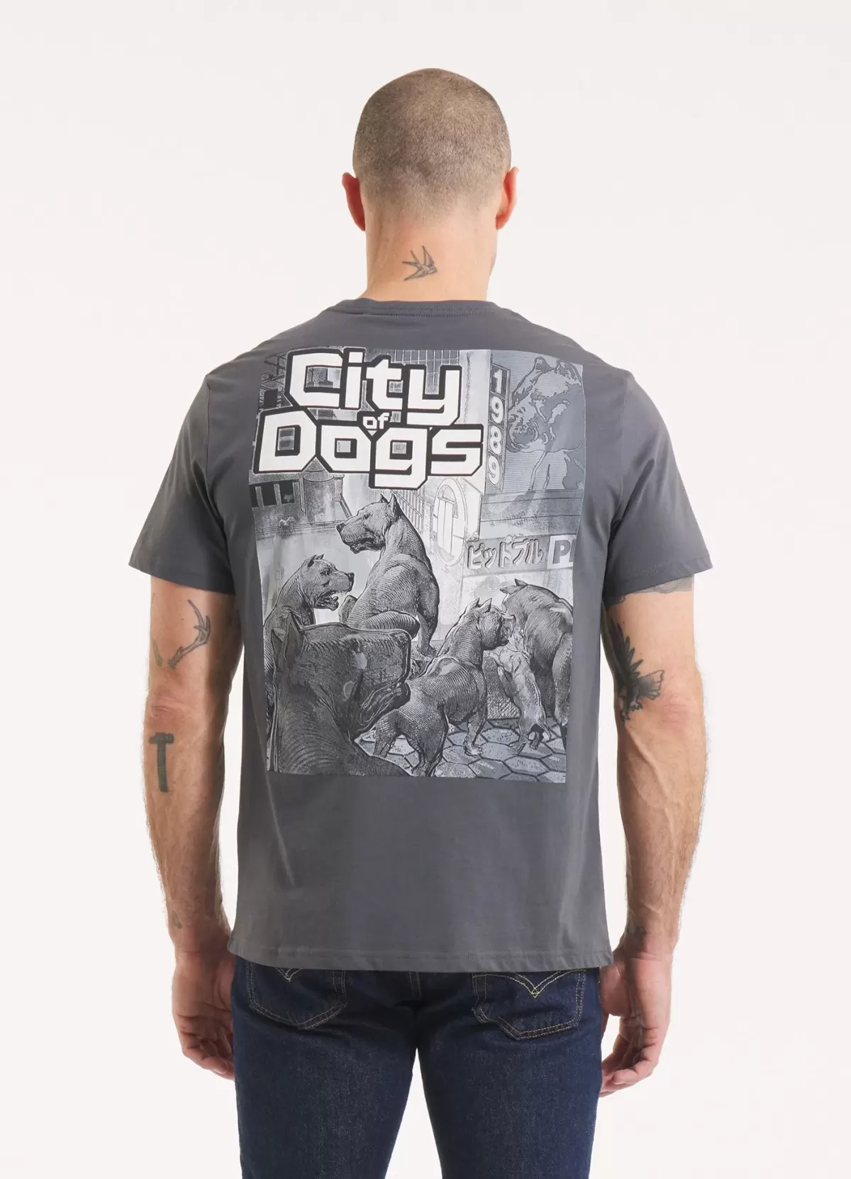 CITY OF DOGS - PITBULL - GRAY - 8