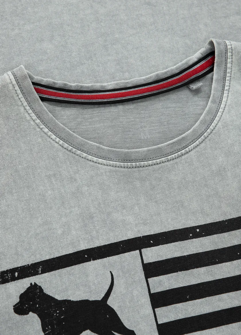 Pitbull - USA - GREY - Majica - 6