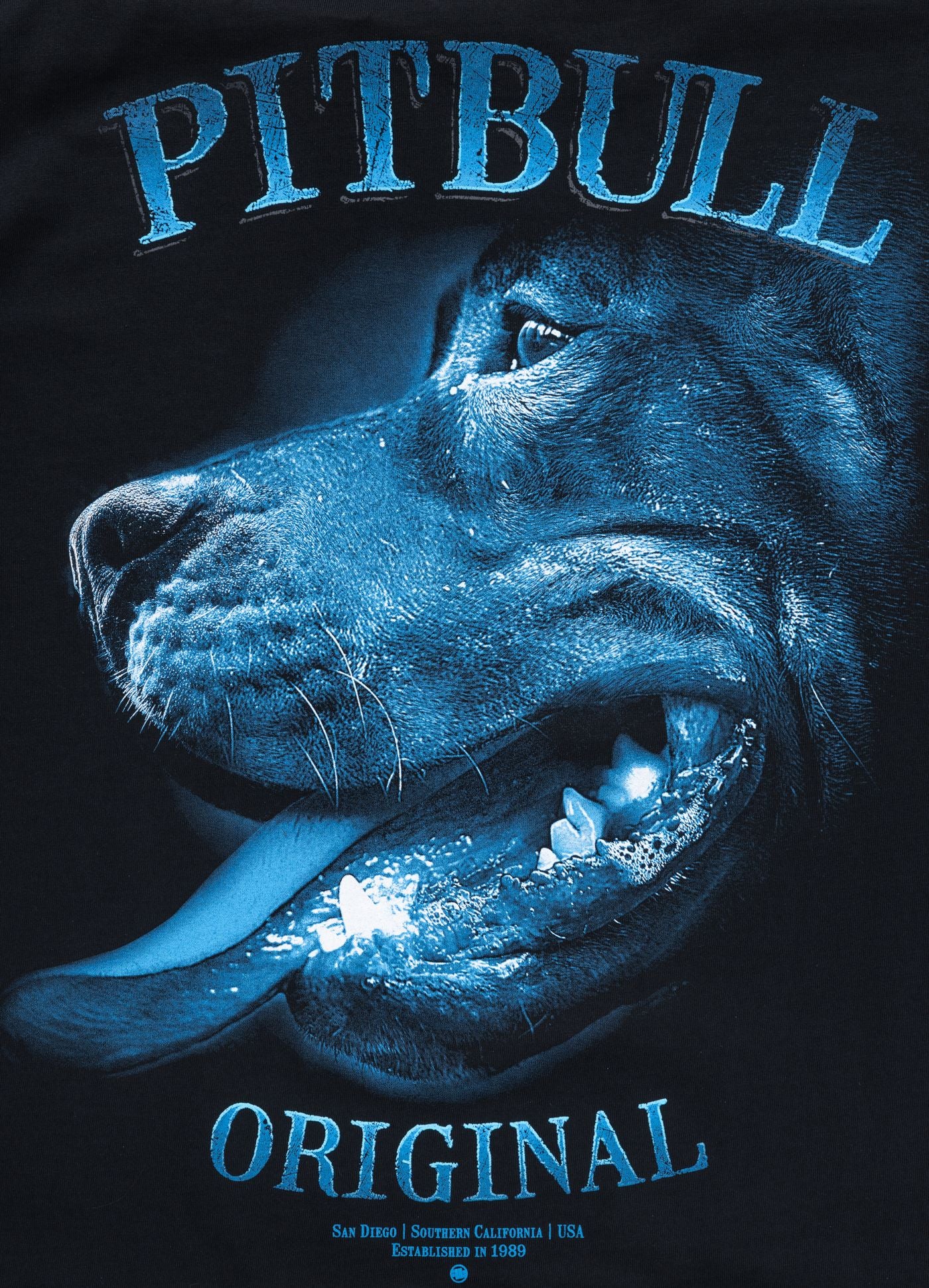 Pitbull - MIDNIGHT - BLACK - Majica - 3