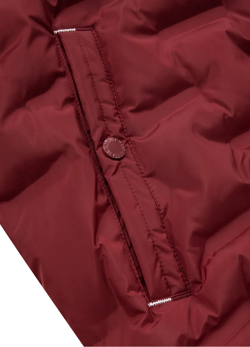 PITBULL | CARVER | BURGUNDY | Jakna